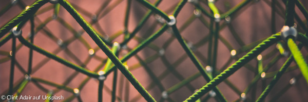 Netz